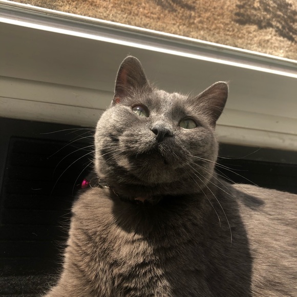 Meet your Posher, Erin - Picture 1 of 1